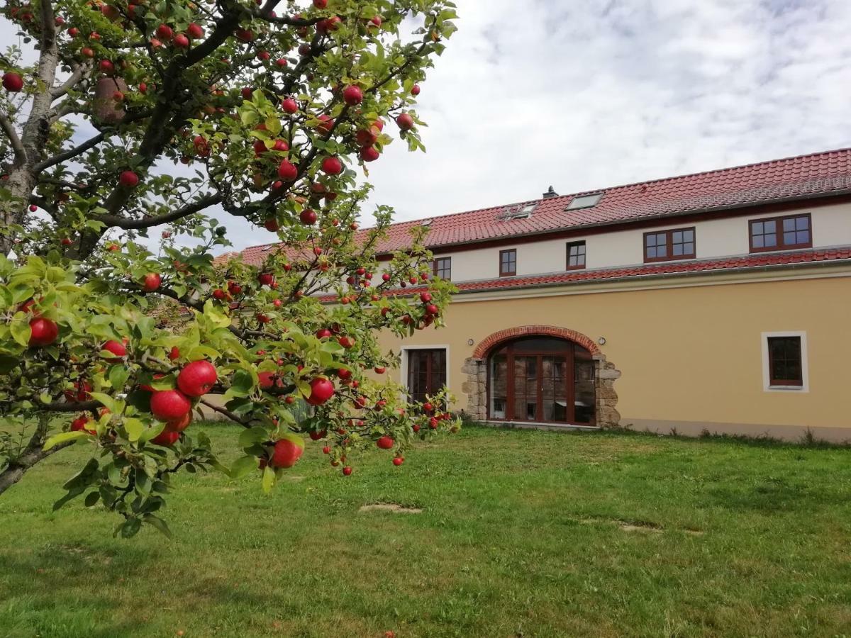 Ferienhof-Kuehn Hochkirch Kültér fotó